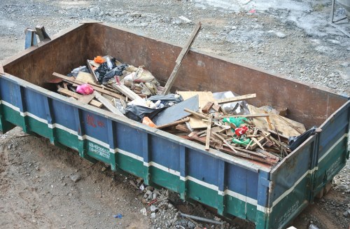 Professionals performing garden clearance in Hackbridge